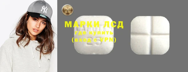 прущие грибы Магас