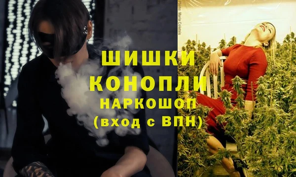 прущие грибы Магас