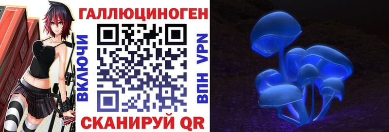 где продают   Чистополь  Галлюциногенные грибы Psilocybe 